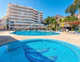 apartments for sale in icod de los vinos