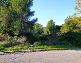 lands for sale in sant jaume dels domenys