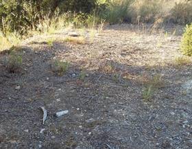 lands for sale in collbato