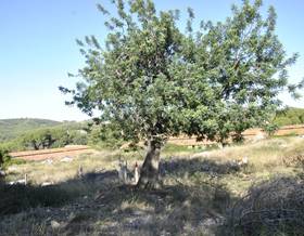 lands for sale in canyelles