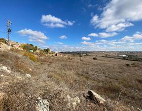 lands for sale in tarroja de segarra