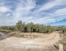 lands for sale in pinos puente