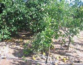 houses for sale in valencia provincia valencia