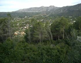 lands for sale in barraca de aguas vivas