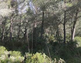 lands for sale in vilafranca de bonany