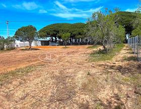 land sale chiclana de la frontera las lagunas - campano by 165,000 eur