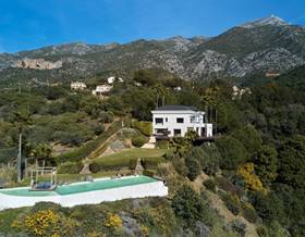 houses for sale in malaga province