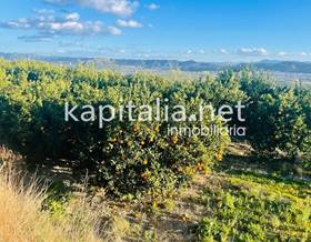 lands for sale in genoves