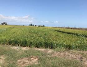 lands for sale in sant carles de la rapita