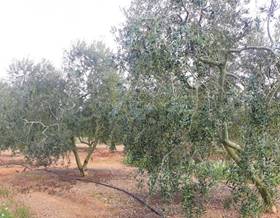 rustic property sale reus reus by 95,445 eur