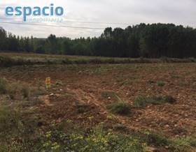 lands for sale in arganza