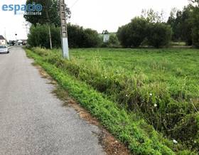 lands for sale in magaz de abajo