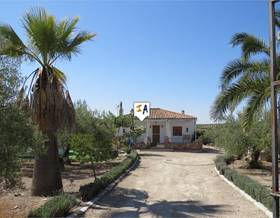 country houses for sale in monte lope alvarez