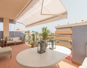 apartments for rent in cabo roig