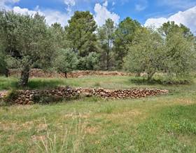 rustic property sale mont roig del camp terres noves by 21,500 eur