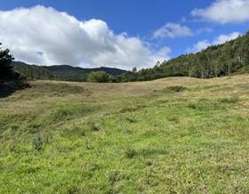 land sale llanera by 37,000 eur