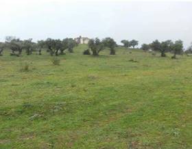 lands for sale in caceres province