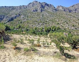 land sale beniarbeig by 165,000 eur