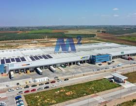 industrial warehouses for rent in sevilla province