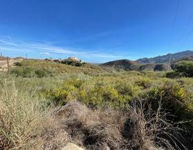 lands for sale in palomares