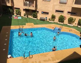 apartments for rent in palomares