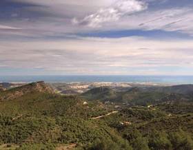 lands for sale in petres