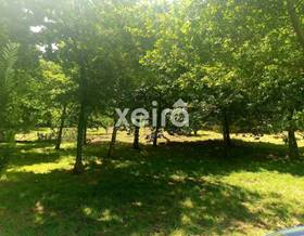 rustic property sale a coruña resto provincia by 19,800 eur