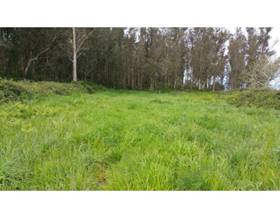 lands for sale in pontevedra province