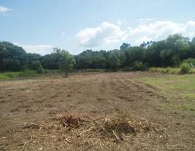 lands for sale in saiar