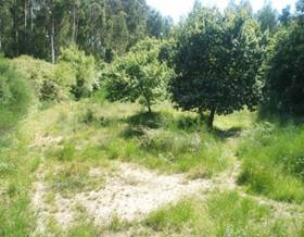 rustic property sale vilagarcia de arousa zamar by 30,000 eur