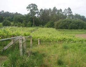 lands for sale in bueu