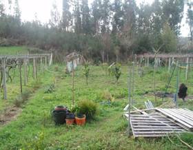 lands for sale in carril