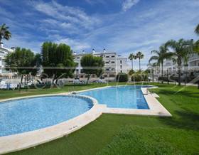 penthouses for sale in oliva