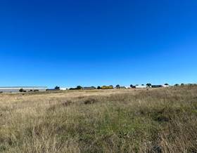 land sale torija torija by 2,580,438 eur