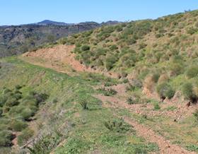 lands for sale in benamocarra