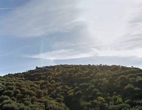 lands for sale in benamocarra
