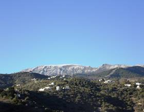 villas for sale in frigiliana