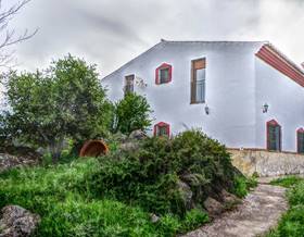 houses for sale in la viñuela