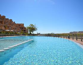 apartments for sale in dolores de pacheco