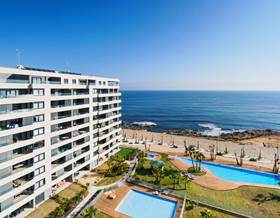 properties for sale in cabo roig