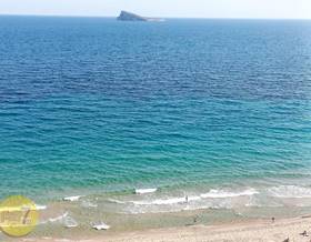 flat sale benidorm 1ª linea by 575,000 eur