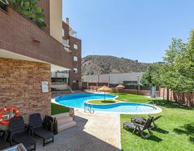 apartments for sale in pinos genil