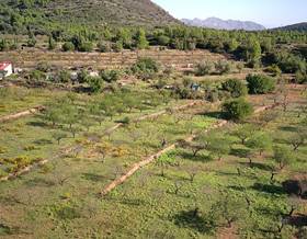 lands for sale in sanet y negrals