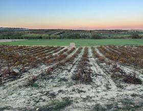 lands for sale in chucena