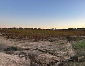 rustic property sale bollullos par del condado periferia by 15,000 eur