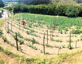 villas for sale in lugo province