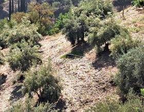 lands for sale in benamargosa
