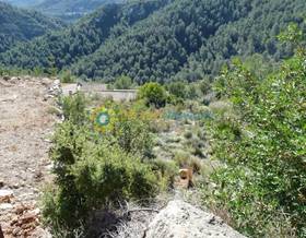 lands for sale in xeresa
