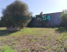 lands for sale in campanet