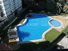 houses for rent in almayate bajo